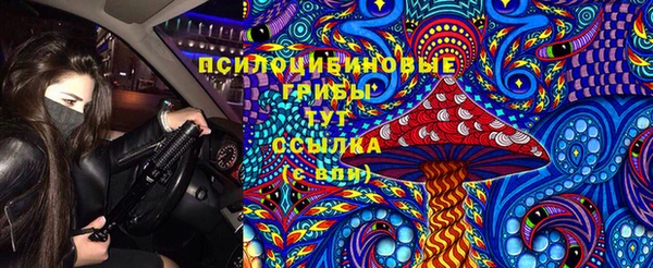 a pvp Алексеевка