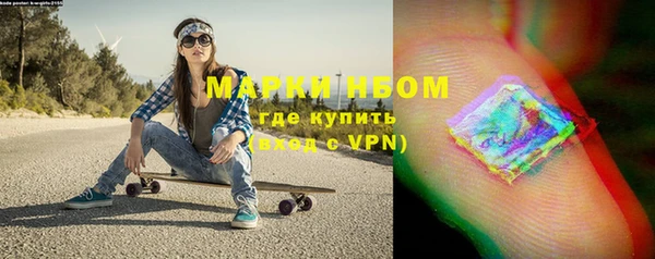 прущие грибы Алзамай