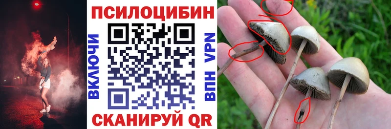 Галлюциногенные грибы MAGIC MUSHROOMS  mega ссылка  Мыски 